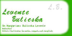 levente bulicska business card